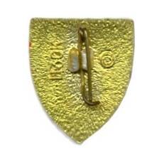 Значок Симферополь (вид 2)