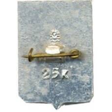 Значок Чебоксары (вид 2)