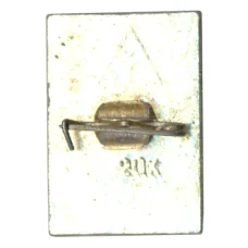 Значок Владимир (вид 2)