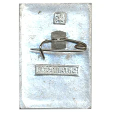 Значок Общество охраны памятников истории и культуры РСФСР (вид 2)