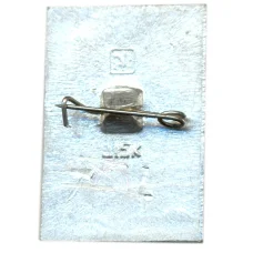 Значок Общество охраны памятников истории и культуры РСФСР (вид 2)