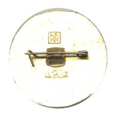 Значок Золотое кольцо — Плес (вид 2)