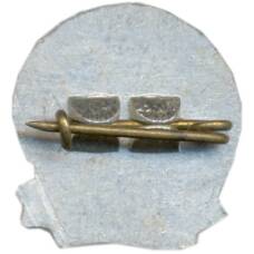 Значок Рига (вид 2)