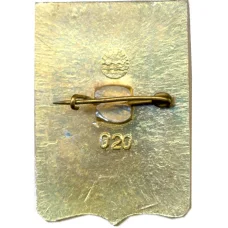 Значок Джанкой (вид 2)