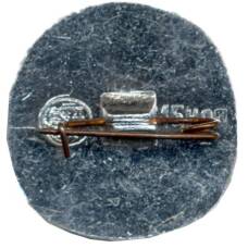 Значок Владимир (вид 2)