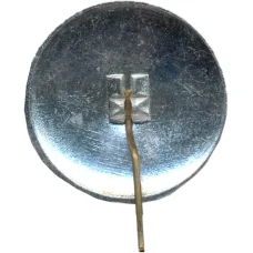 Значок Венгрия 30 лет (вид 2)