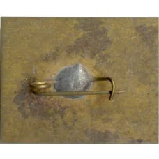 Значок Кисловодск (вид 2)