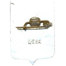 Значок Новгород (вид 2)