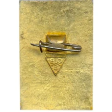 Значок Владимир (вид 2)