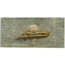 Значок Волгоград (вид 2)