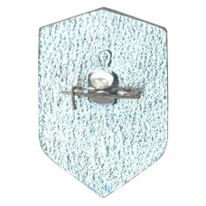 Значок Всероссийское Добровольное Пожарное Общество (ВДПО) (вид 2)