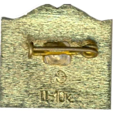 Значок Петродворец (вид 2)