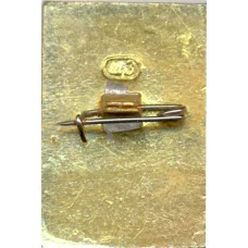 Значок Новороссийск (вид 2)