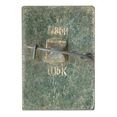 Значок Кострома (вид 2)