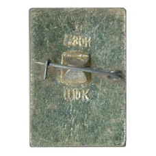 Значок Кострома (вид 2)