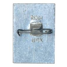 Значок Гусь-Хрустальный (вид 2)