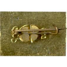 Значок Бахчисарай (вид 2)