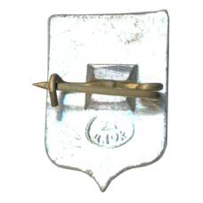 Значок Владимир (вид 2)