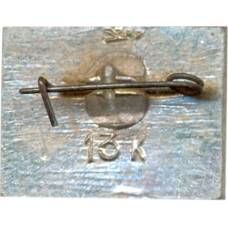 Значок Горький (вид 2)