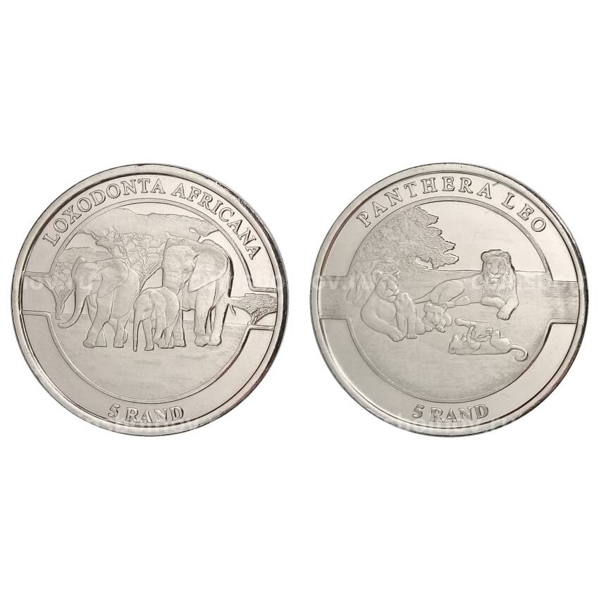 Набор монет 5 рандов 2019 года Республика Венда — Животные