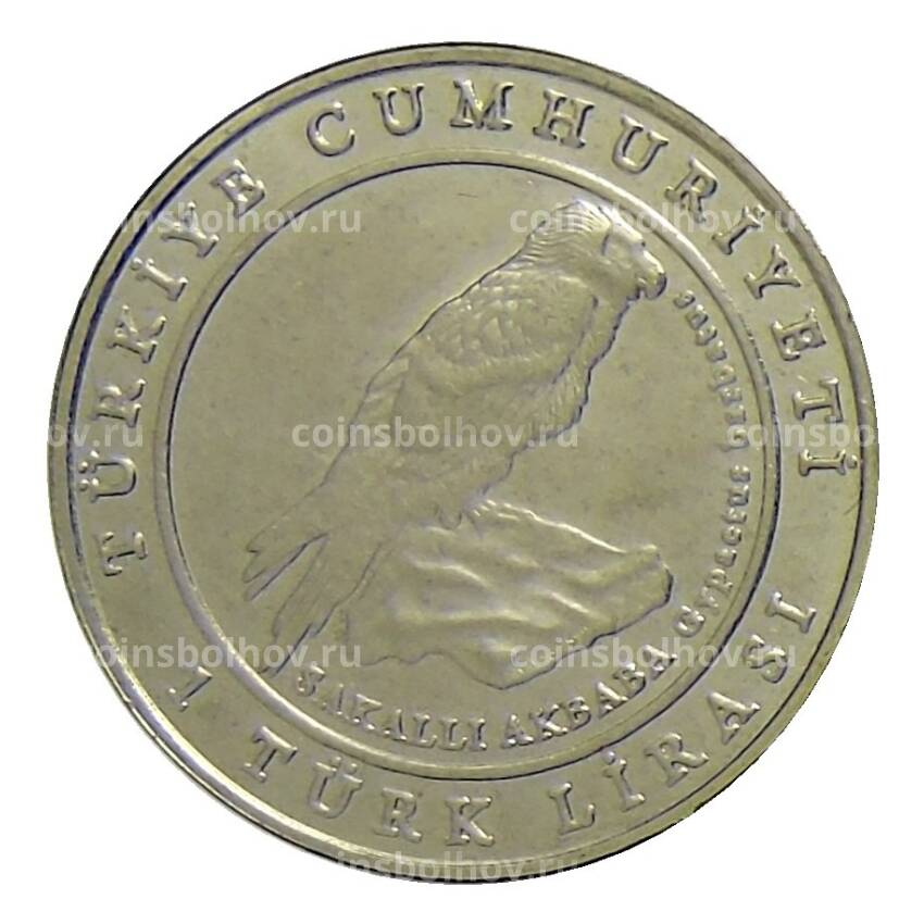 Монета 1 лира 2009 года Турция —  Орел (вид 2)