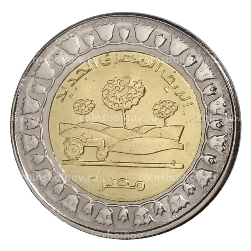 Монета 1 фунт 2019 года Египет — Новая Египетская деревня