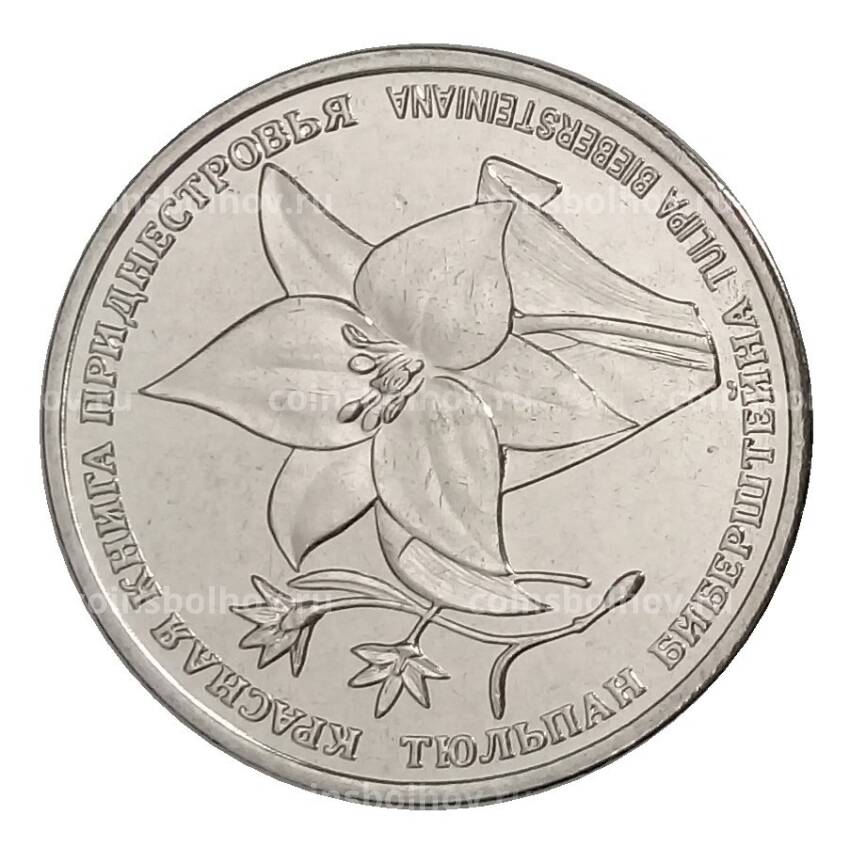 Монета 1 рубль 2019 года Приднестровье «Красная книга Приднестровья — Тюльпан Биберштейна»
