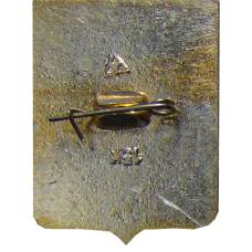 Значок Александров (вид 2)