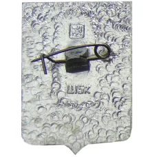 Значок Камышин (вид 2)