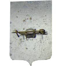 Значок Сочи (вид 2)