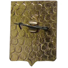 Значок Владимир (вид 2)