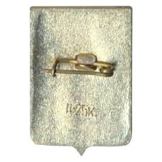 Значок Боровичи (вид 2)