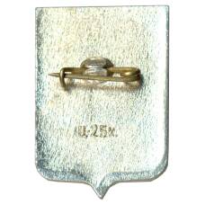 Значок Новгород (вид 2)