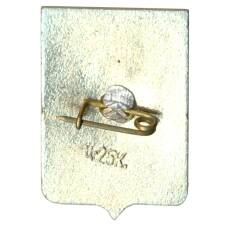 Значок Крестцы (вид 2)