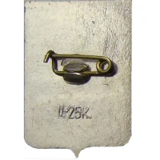 Значок Боровичи (вид 2)