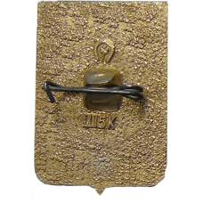 Значок Волгоград (вид 2)