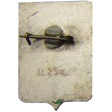 Значок Демянск (вид 2)