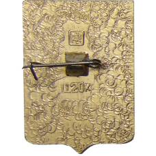 Значок Оргеев (вид 2)