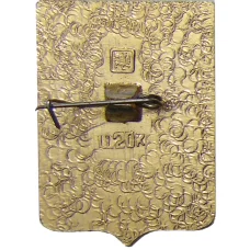 Значок Оргеев (вид 2)