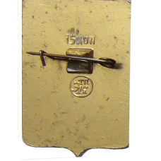 Значок Арзамас (вид 2)