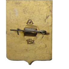 Значок Владимир (вид 2)