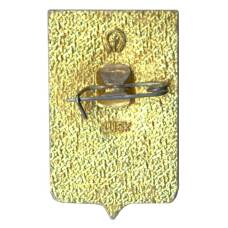 Значок Ростов на Дону (вид 2)