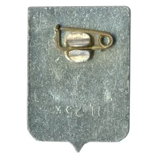 Значок Кострома (вид 2)