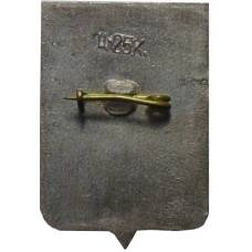 Значок Боровичи (вид 2)