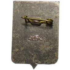 Значок Боровичи (вид 2)