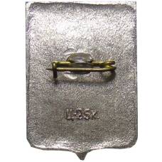 Значок Новгород (вид 2)