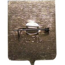 Значок Новосибирск (вид 2)