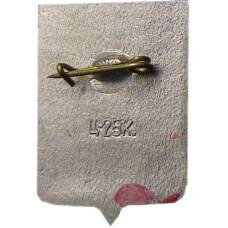 Значок Новгород (вид 2)