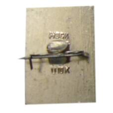 Значок  Кострома (вид 2)