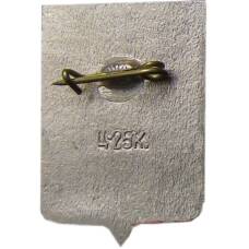 Значок Новгород (вид 2)